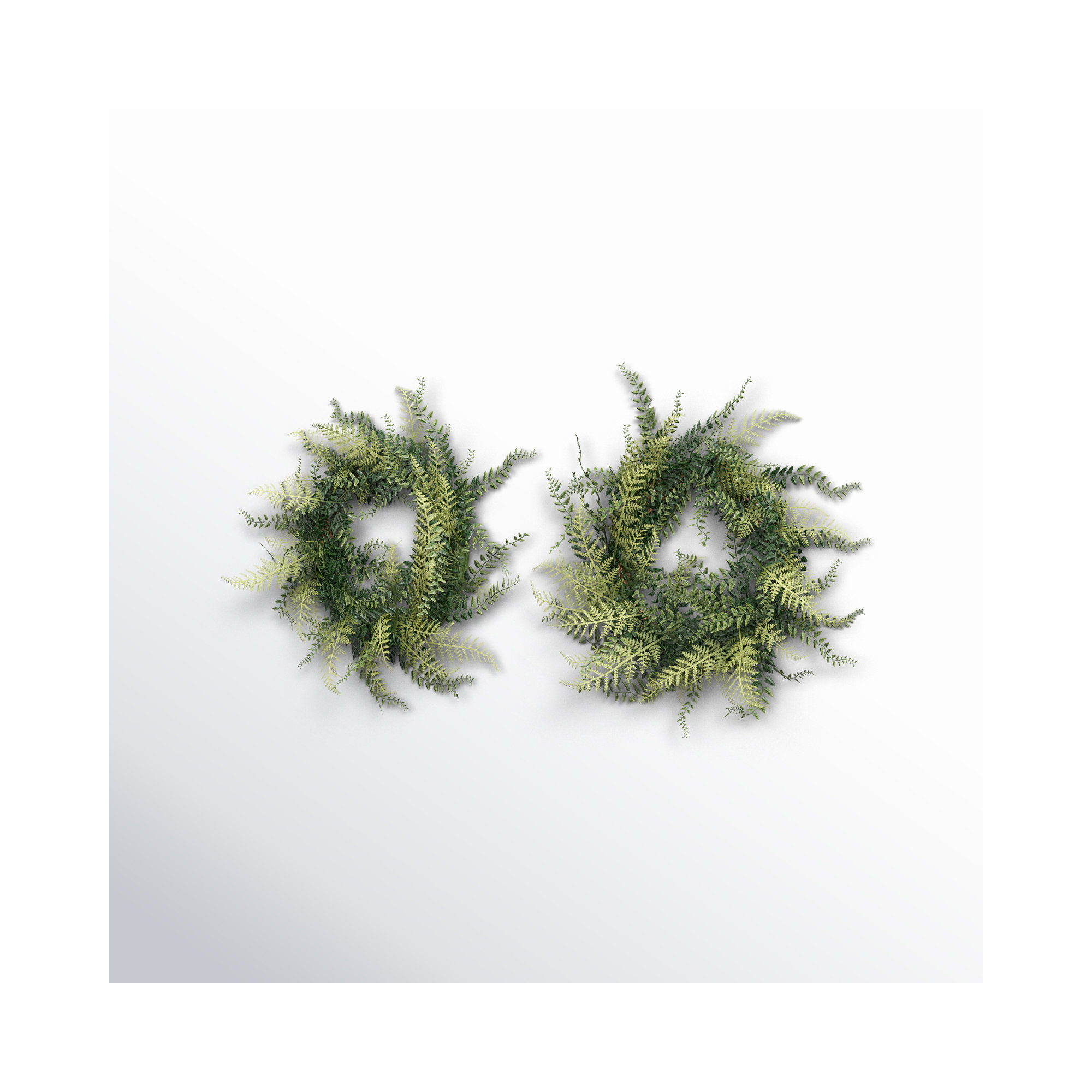 Artificial Buckler Fern and Grass Wreath, 18" H x 18" W x 4" D