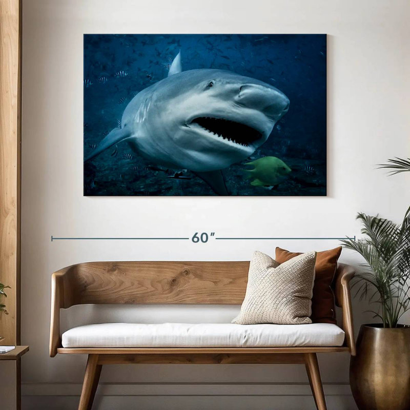 Brampt Bull Shark In Action, 32" H x 48" W