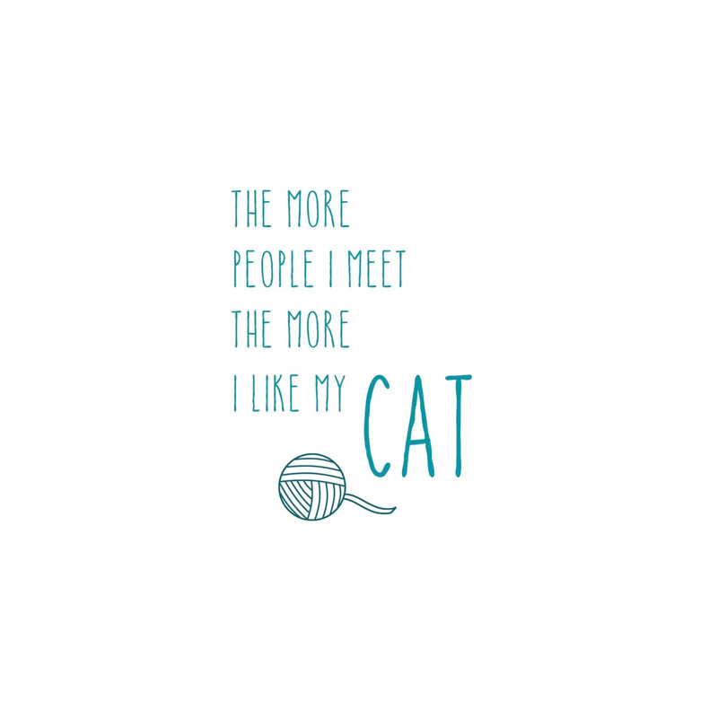 The More I Like My Cat by Amanda Murray - Wrapped Canvas Print, 66.04cm H x 66.04cm W x 1.905cm D