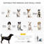 Petite poussette pour chien de taille moyenne, 3 roues caoutchoutées, pliable, auvent réglable, sangle, bac de rangement bleu, poussette de transport pour animaux pour et chiens, housse, cordon, boîte, teinte