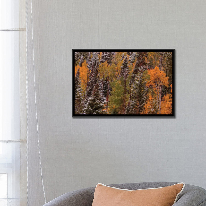 « contrasts » par bill sherrell, reproduction d’impression sur toile tendue, H 26 po x l 40 po x P 1,5 po, Toile tendue