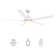 Sreeja Smart 5 - Blade LED Ceiling Fan with Remote Control Light Kit, Downrod