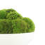 5" Artificial Moss Plant in Planter-729850858