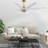 Ariella - Eight Blade Ceiling Fan-1776851470-1776851467