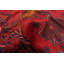 Tapis rouge Rizbaft 3 pi 5 po x 6 pi 1 po