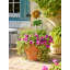Piquet de jardin Be Jolly-658616392