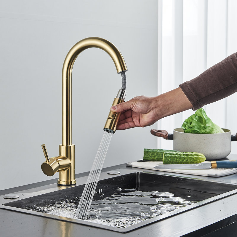 Belfry Kitchen Serita Pull Out Kitchen Faucet
