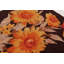 One-of-a-Kind 6'3x6'7 Area Rug