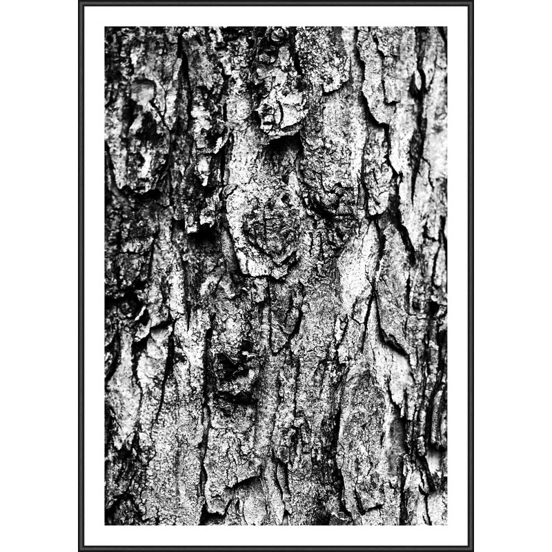 Single Picture Frame Print