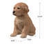 10" Golden Retriever Puppy Statue
