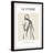 " Female Figure No 1 Poster " by Marmont Hill-1410149022