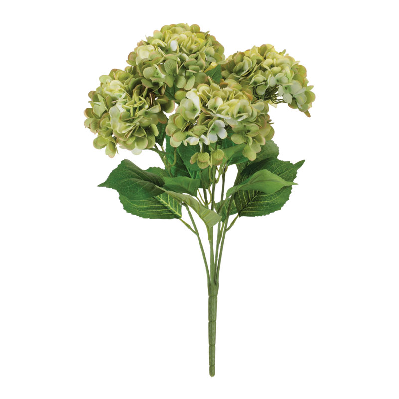 Hortensia floral (ensemble de 2), Vert