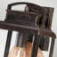 Laelia Bronze Outdoor Wall Lantern-16292082