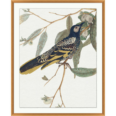 " Glistening Bird 1 " Watercolor Painting