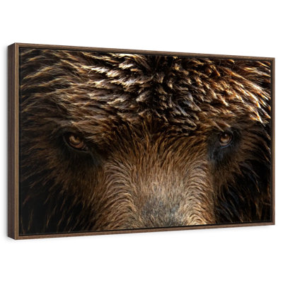 Yeux de grizzly