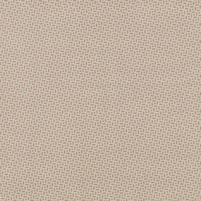 Schumacher x Veere Grenney Berrydown Fabric