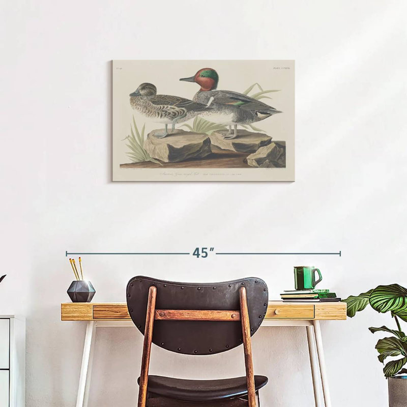Winged Teal, 20" H x 30" W