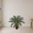 Cycas Artificial Tree