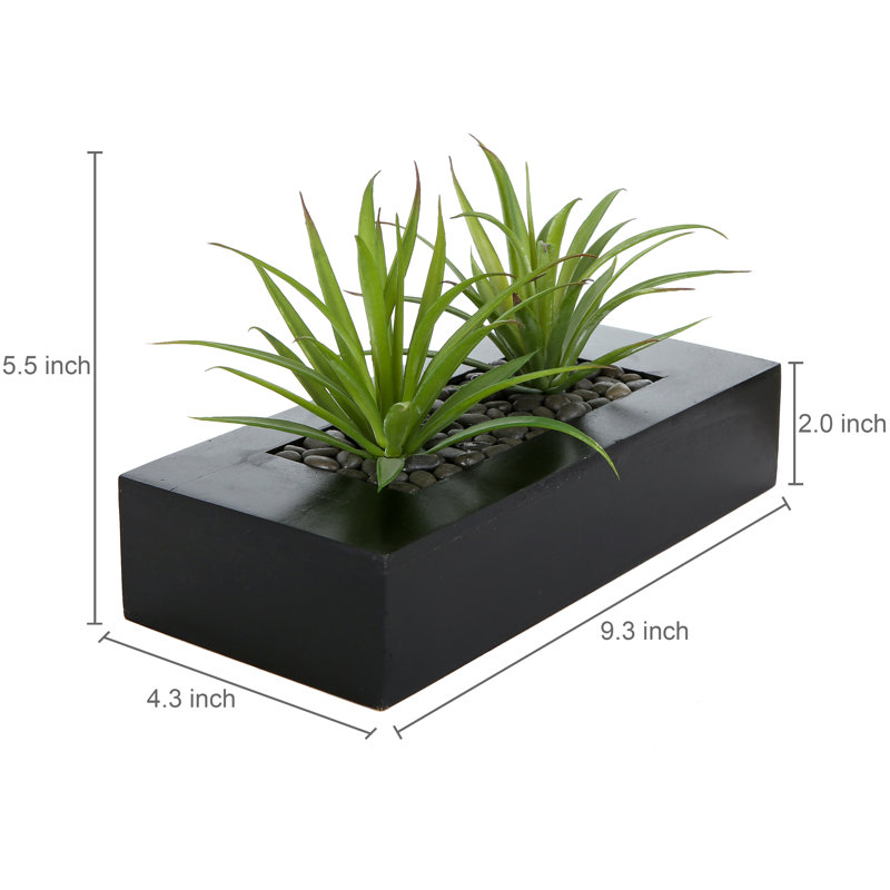 Oignon artificiel en pot, Noir