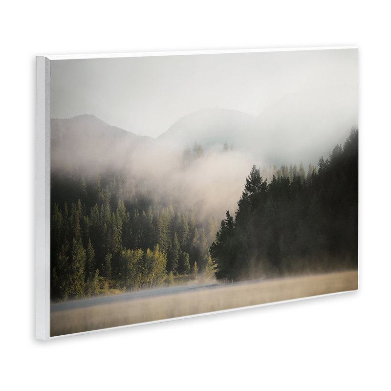 «Rolling Fog Woodland View» par Carol Robinson, H 10 po x l 15 po