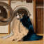  Washable Common Chimpanzee Wildlife Area Rug-713008161