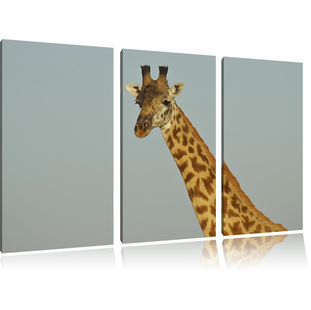 3-tlg. Leinwandbilder-Set „Maiestätische Giraffe“, Fotodruck