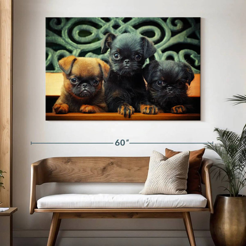 Griffon Puppies, 34" H x 51" W