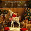 Renne de Noël avec 50 lumières DEL