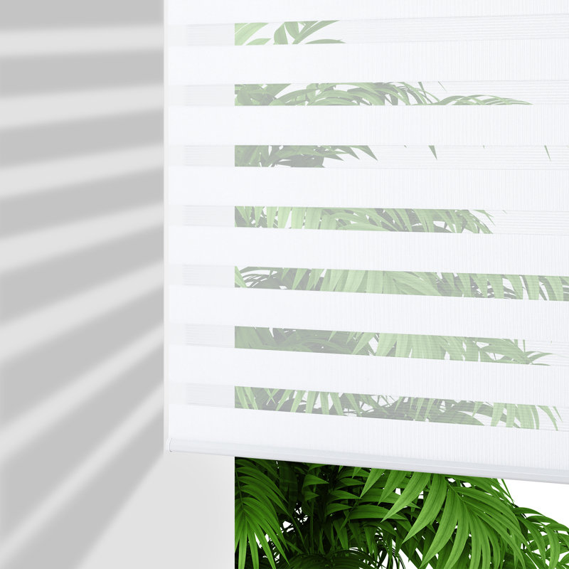 Rideaux zébrés sans fil double couche jour et nuit intimité et sans installation, sans tracas, blanc l 46 po x H 75 po, Blanc