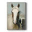 Cheval non répétable - galerie Cavas sur mesure-1625669016