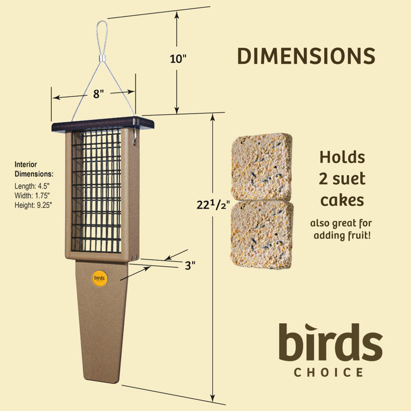 Mangeoire à queue en forme de gâteau 22,5 po Birds Choice, taupe / vert, Brun