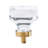Glacio 1 3/8" Length Square Knob-63965811