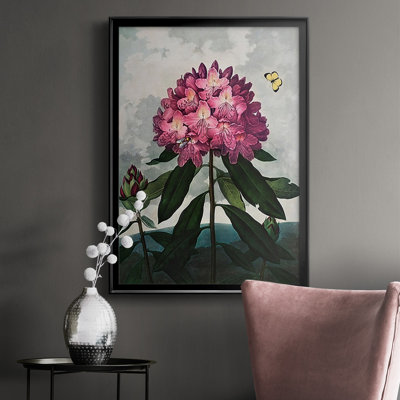 " Temple Of Flora X "
