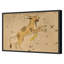 Lynx Print by Grand Archives-669743488-669743519