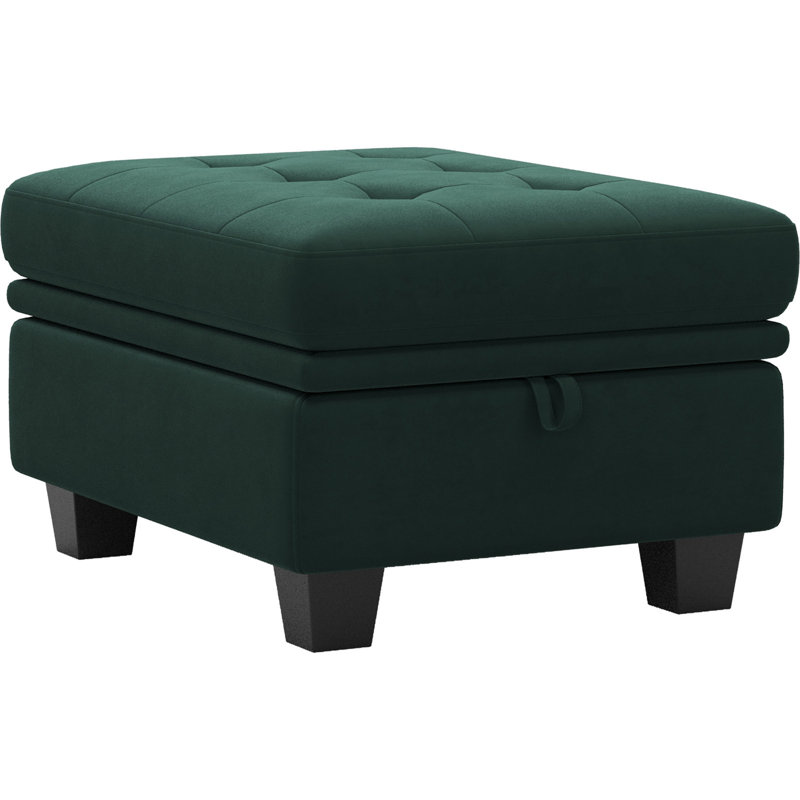 Shavera Upholstered Multifunctional Removeable Storage Ottoman, Green