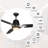 52'' Ceiling Fan with LED Lights-1753146399