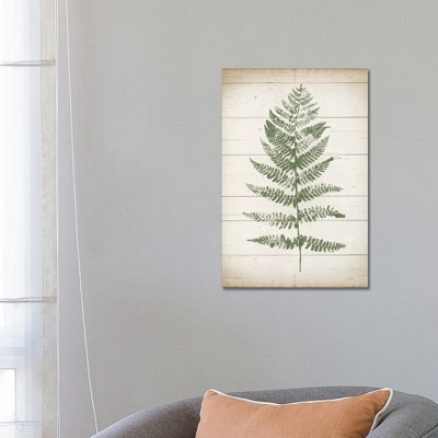 Fern Print II by Moira Hershey - Wrapped Canvas Print