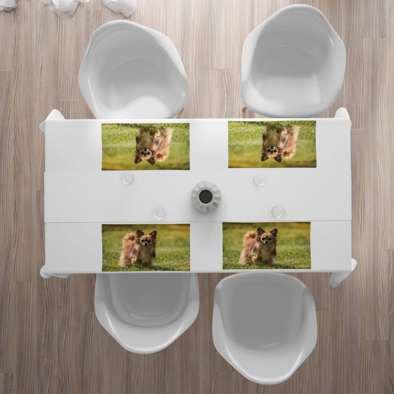 Récapitulatif 18,5" chihuahua