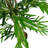 Faux Bamboo Tree in Pot Liner-88443228