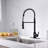 Prime Collection High-Arc Single Handle Kitchen/Bar Faucet with 2-Function Pull-Down Spring Spout Sprayer - Matte Black-113037018