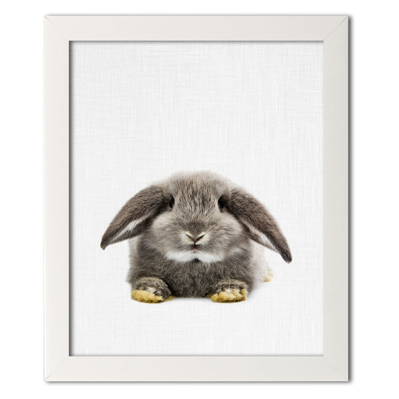 « lapin ii », impression, Papier avec cadre blanc, H 14 po x l 11 po x P 0,75 po