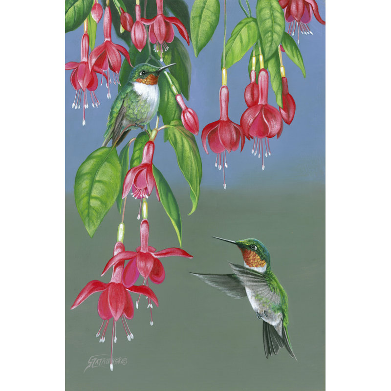 Hummers And Fuchsia by Fred Szatkowski - Wrapped Canvas Painting, 46cm H x 30cm W x 3.8cm D