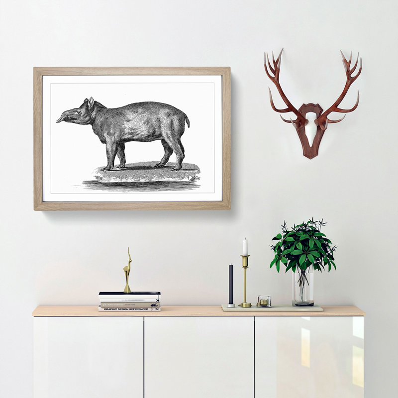 Tapir in Black & White by George Shaw - Picture Frame Drawing Print, Oak Framed, 27cm H x 36cm W x 2cm D