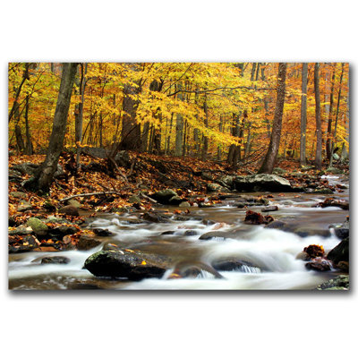 "Autumn's Fire" by CATeyes Framed Photographic Print on Wrapped Canvas