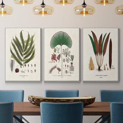 Botanical Society Ferns I, reproduction d'art encadrée sur toile 3 pièces