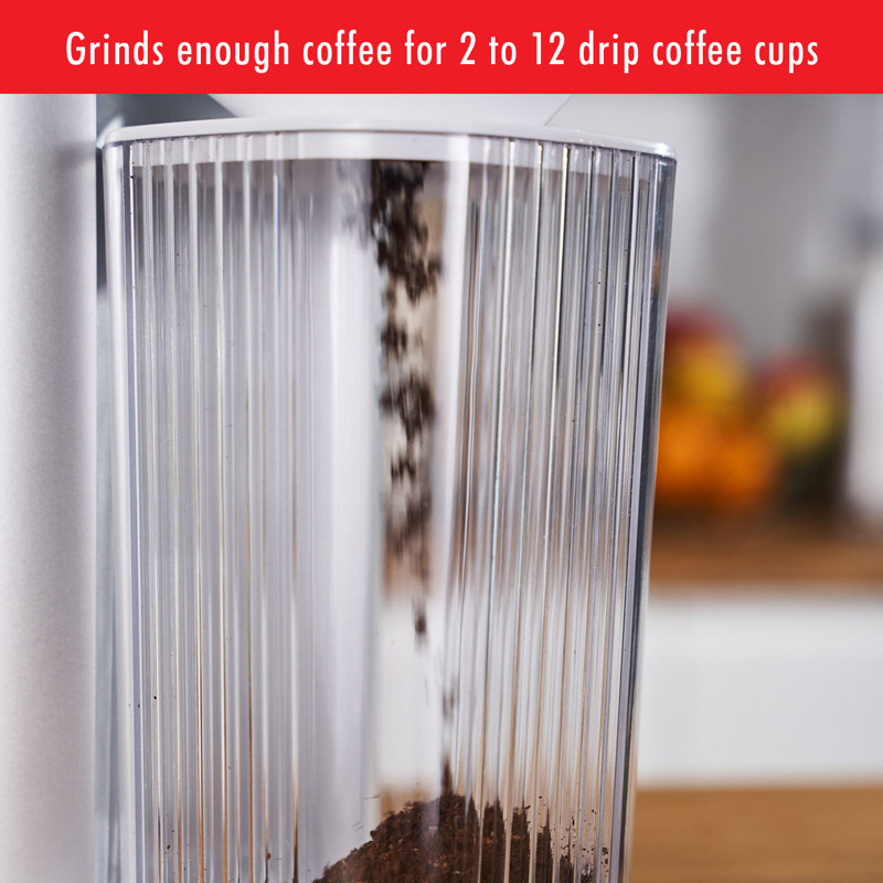 ZWILLING Enfinigy Coffee Bean Grinder, Silver