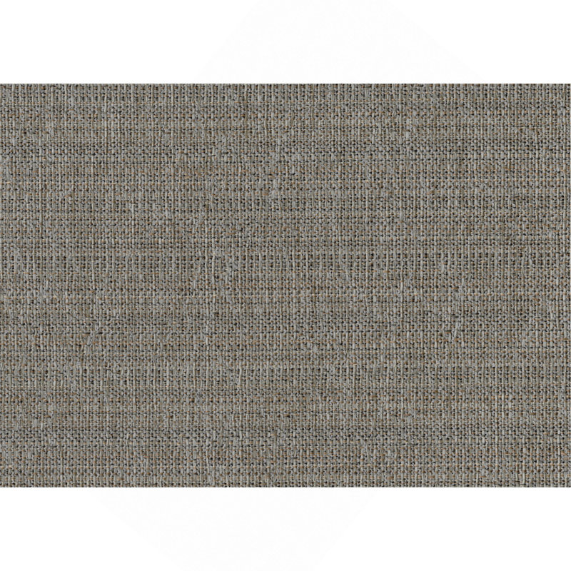 Ensemble de chaises d'appoint de style traditionnel 2 pièces