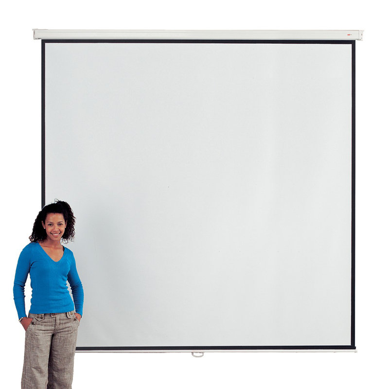 White Manual Projection Screen, 240 cm H x 240 cm W