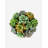 Functional Beauty Pleated Ceramic Succulent Arrangement