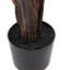 Potted Travellers Palm Tree-198401556